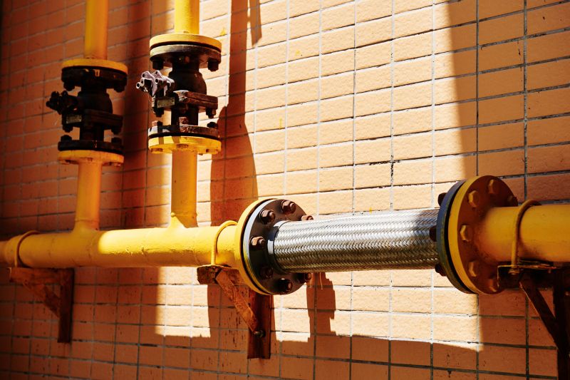 Eco-Friendly Options